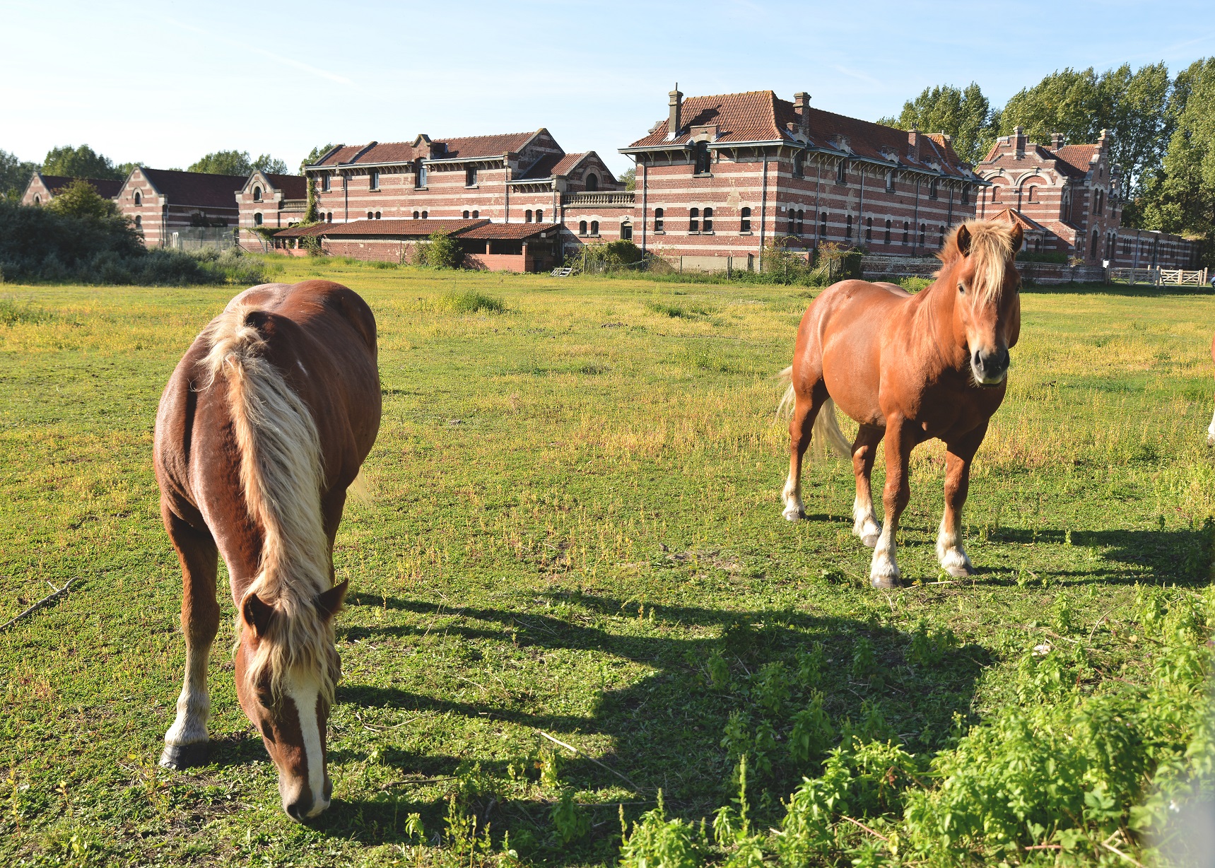 Ferme Nord Zuydcoote