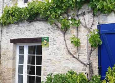 les hirondelles bleues