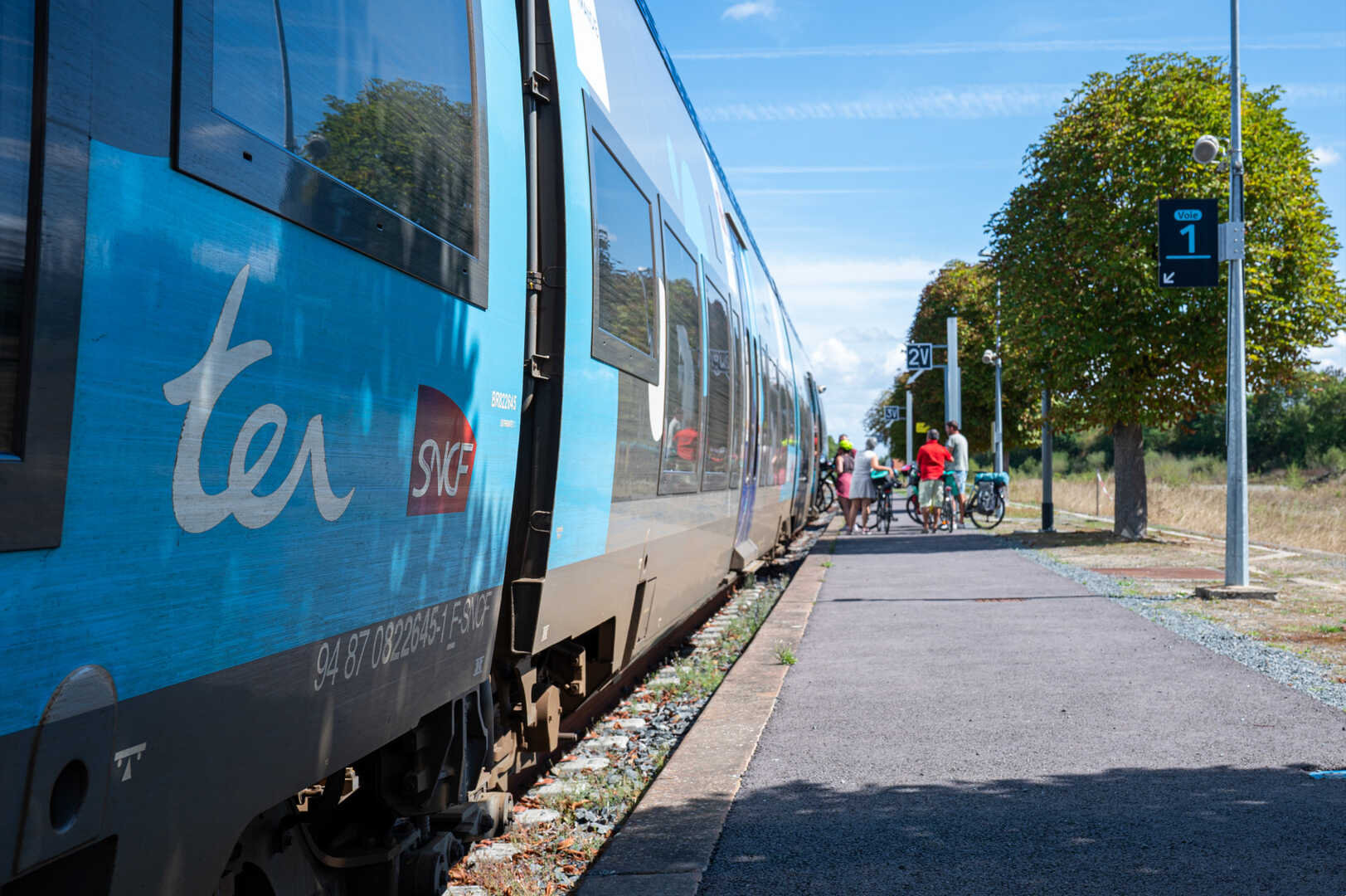 Train nomad online velo