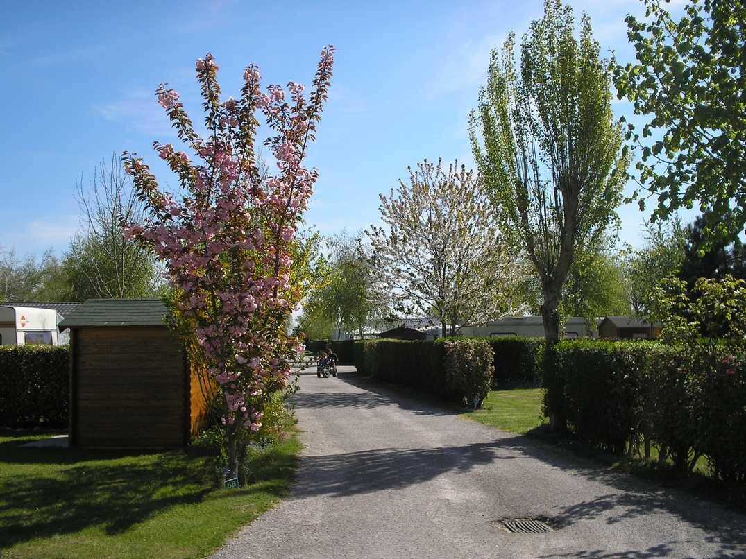SARL RIQUET Christophe Camping Le Champ Neuf