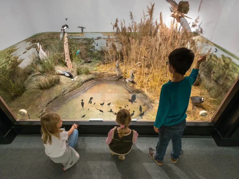 Visite de la Maison de la Baie de Somme à Lanchères
