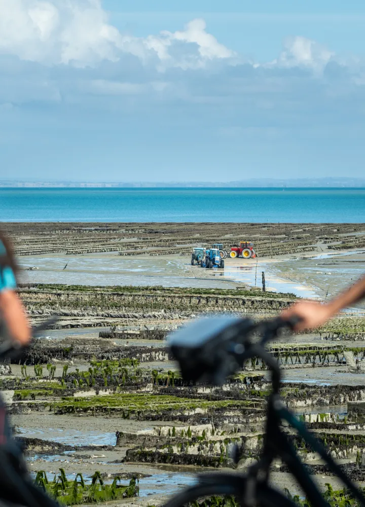 cancale parcs à huitres