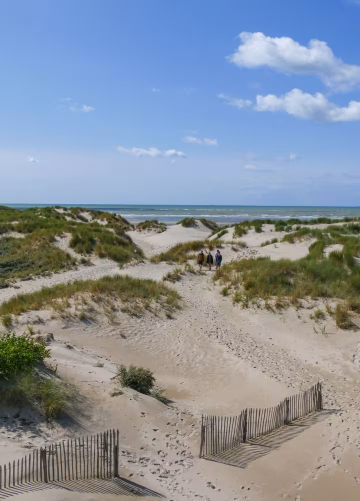 La Baie de Canche