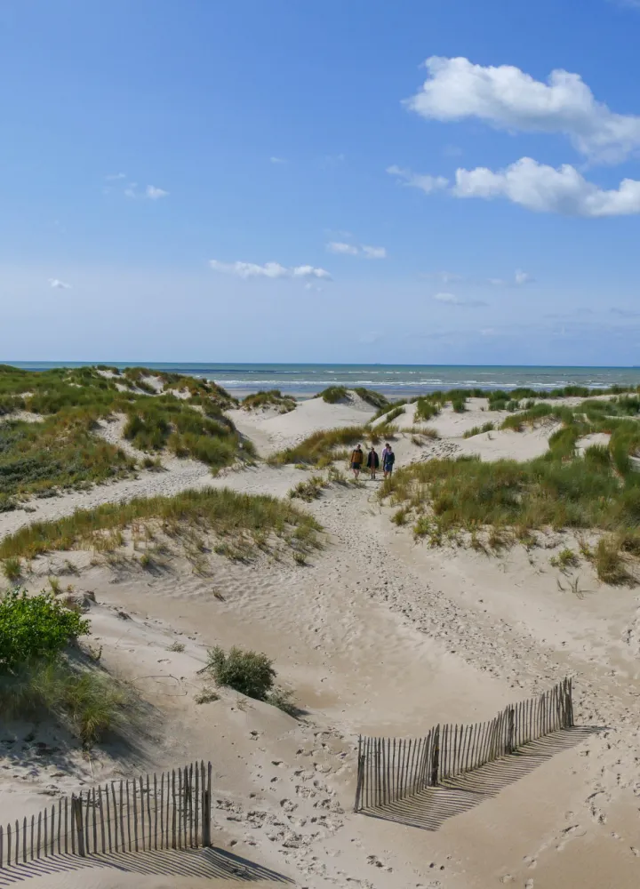La Baie de Canche