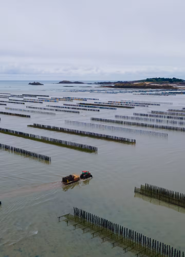 Parcs à Moules