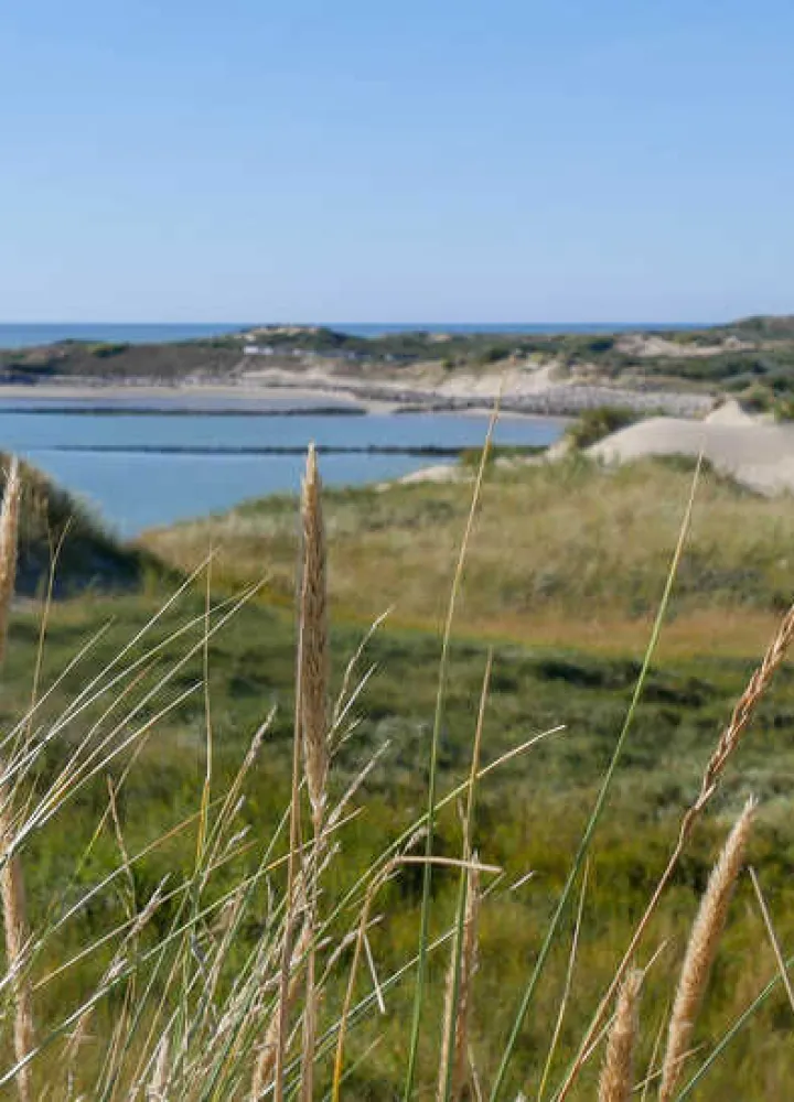 Baie d'Authie