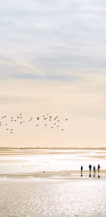 Baie de Somme B. Bremer