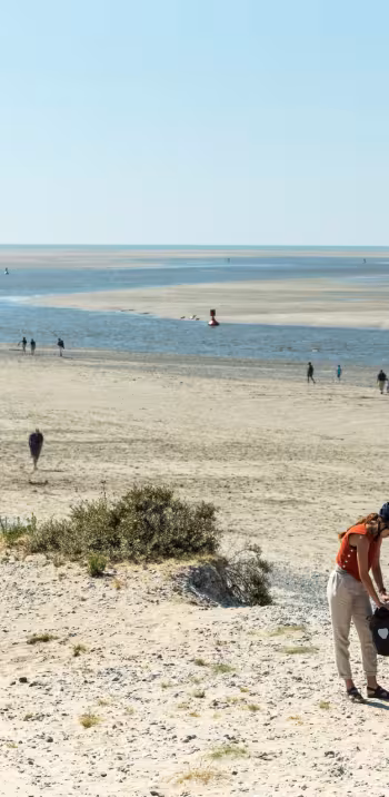 The white road between Le Hourdel and Cayeux-sur-Mer
