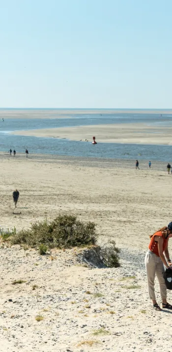 The white road between Le Hourdel and Cayeux-sur-Mer
