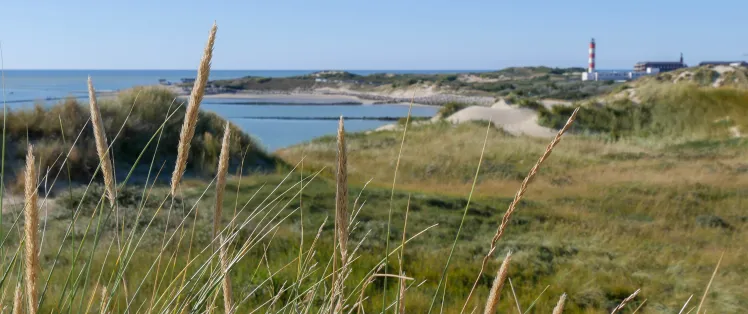 La Baie d'Authie