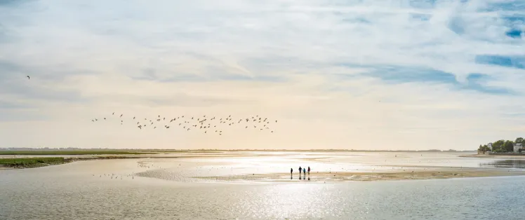Baie de Somme B. Bremer