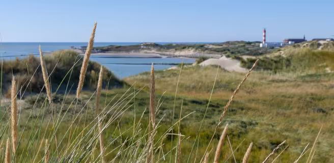 Le Crotoy / Berck