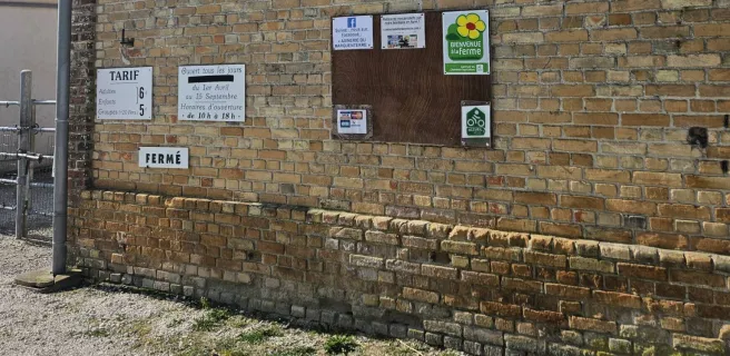 Asinerie du Marquenterre