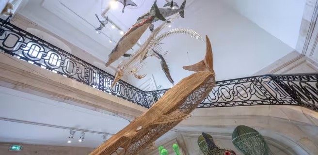 Muséum d'Histoire Naturelle