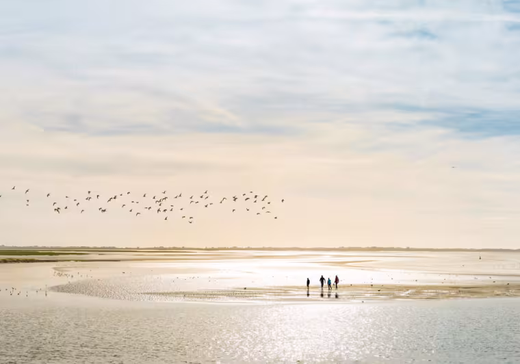 Baie de Somme ©B. Bremer
